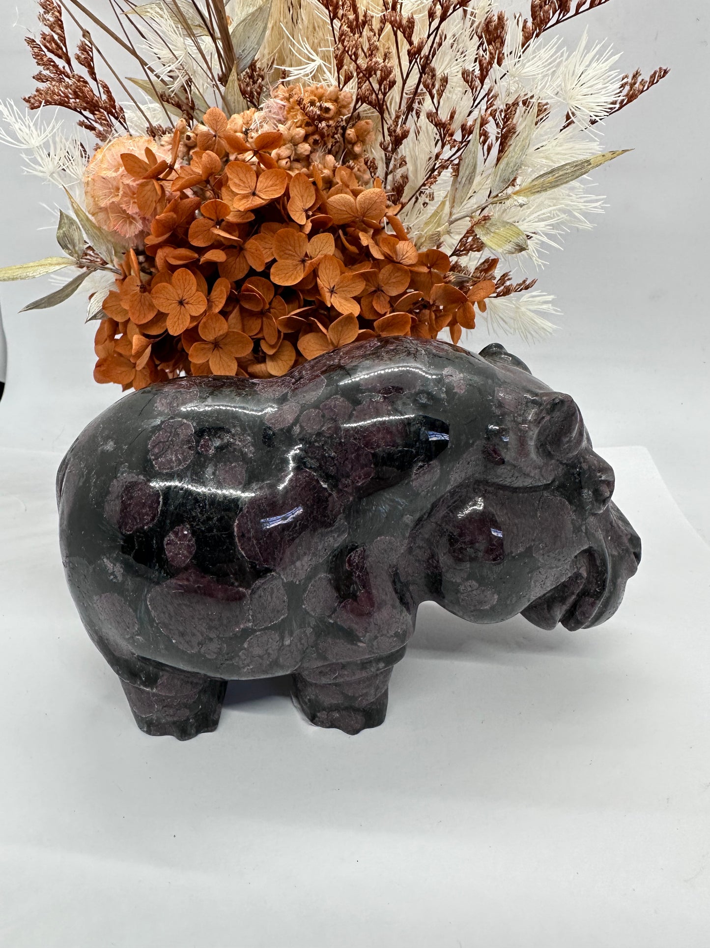 Garnet Hippo XL