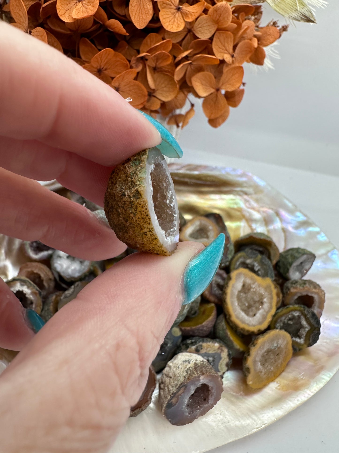Druze Agate Nuts