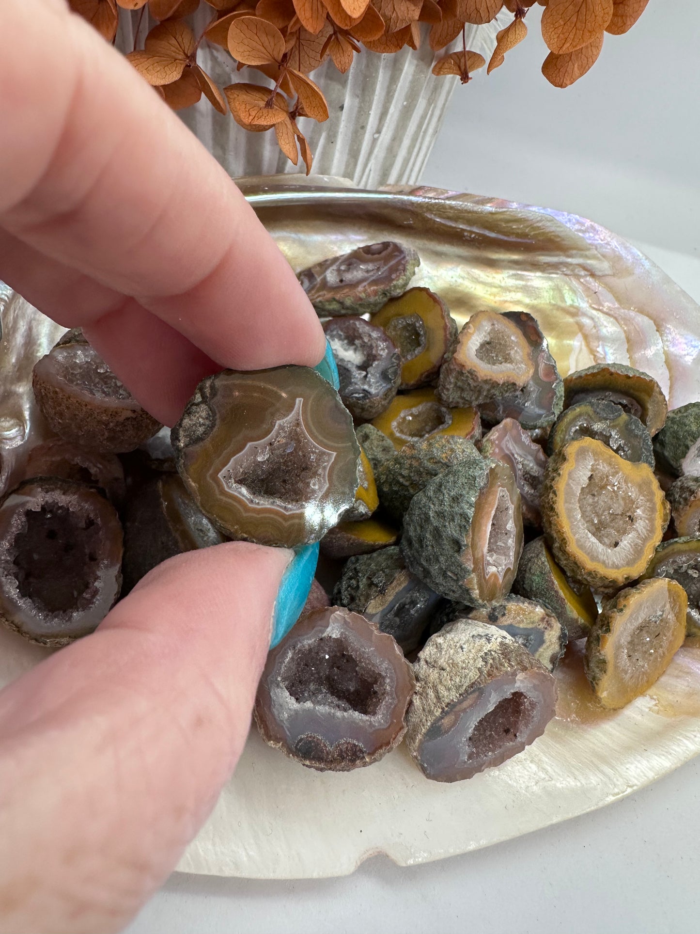 Druze Agate Nuts